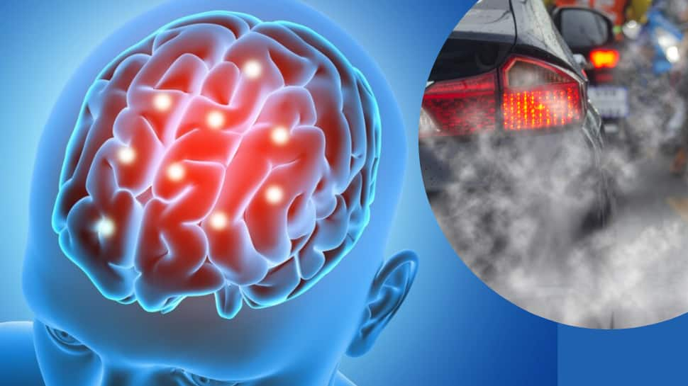 Traffic pollution linked to Alzheimer’s brain plaque formation, study reveals.  health news