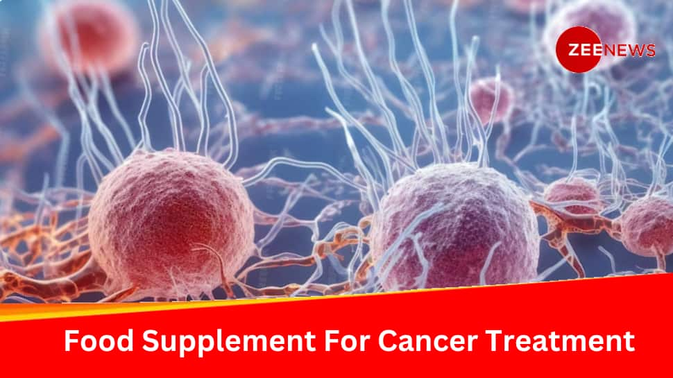 Cancer treatment: New food supplement to stop deadly cells from spreading, learn all about it |  health news