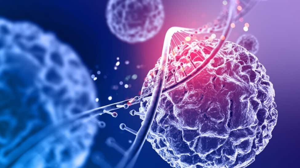 Health News Here’s Why Killer T Cells in Solid Tumors Lose Power, According to Research