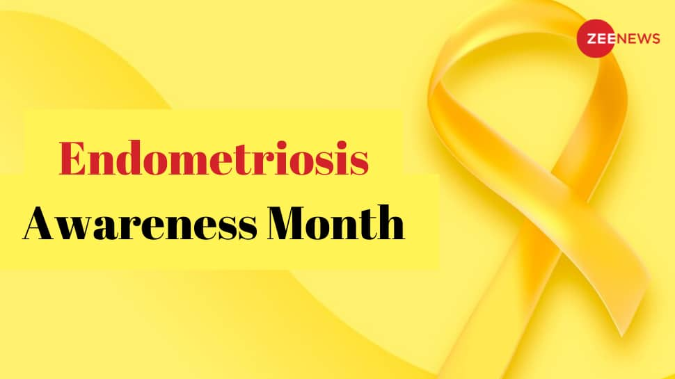 Endometriosis Awareness Month: How Can Endometriosis Affect Women’s Fertility Across Ages?  Expert share signs  health news