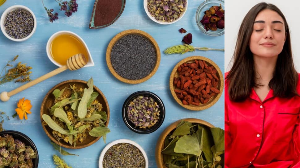 Stress Management: 5 Ayurvedic Herbs to Add to Your Lifestyle – Experts Share Insights |  health news