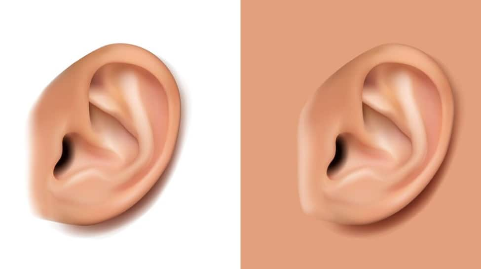 Researchers created a perfect lifelike replica of an adult human ear  health news