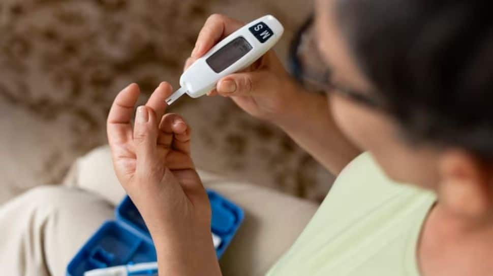 Ayurvedic Diet for Diabetes: Check Expert Advice for High Blood Sugar |  health news